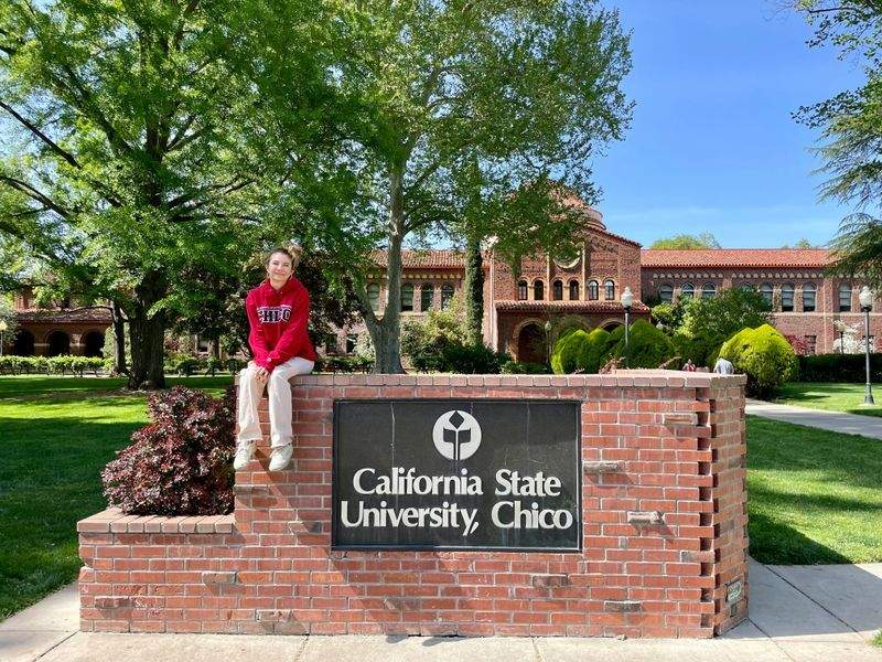 Accademia Italiana di Eccellenza - Image 5